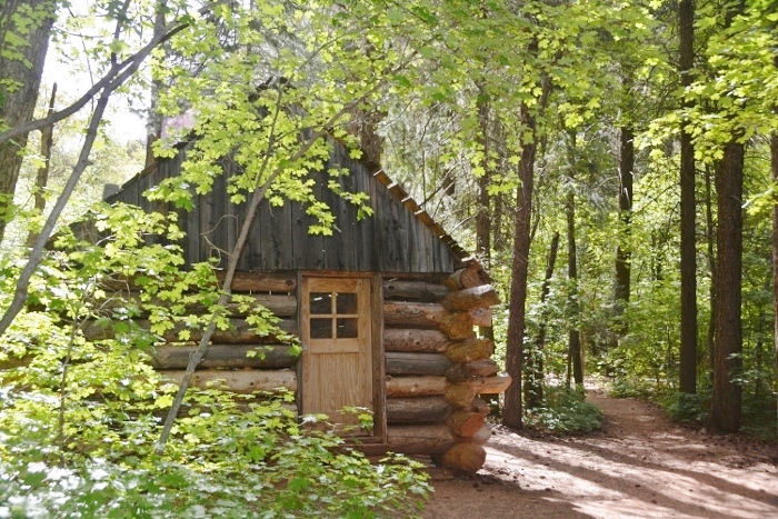 a cabin deep in the woods on the trail
